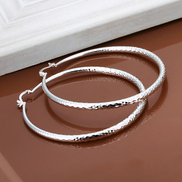 Brand new sterling silver plate Yu Wen round earrings - big DFMSE289,women's 925 silver Dangle Chandelier earrings 10 pairs a lot