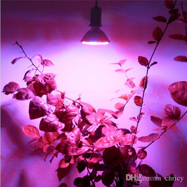 E27 Hydroponic Plant LED grow light Bulb 110V-220V 38led 60led 80led RED and BLUE Garden Greenhouse Aquarium Light
