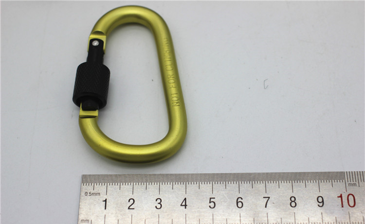 Promotion Gift Outdoor Gadgets Gear Convenient to Carry Carabiner Aquarius Buckle Hang up Bottle Mixed Color