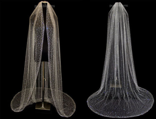 3M White Ivory Cathedral Bridal Veil Wedding Crystal Scattered Crystals Edge Custom, Champagne
3M White Ivory Cathedral Bridal Veil Wedding Crystal Scattered Crystals Edge Custom, Champagne
