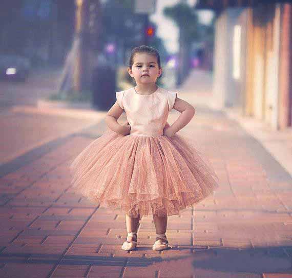Pageant Dresses For Girls Sleeves 2017 Hot Blush Pink Satin Top Tulle Tutu Bow Back Tea Length Flower Girls Dress For Weddings EN41511