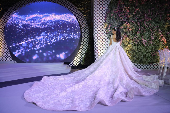 Gorgeous 2-Meters Tail Wedding Dress Square Neck Lace Applique Zipper Open Backless Bridal Dress Amazing Lace Ball Gown Wedding Dresses