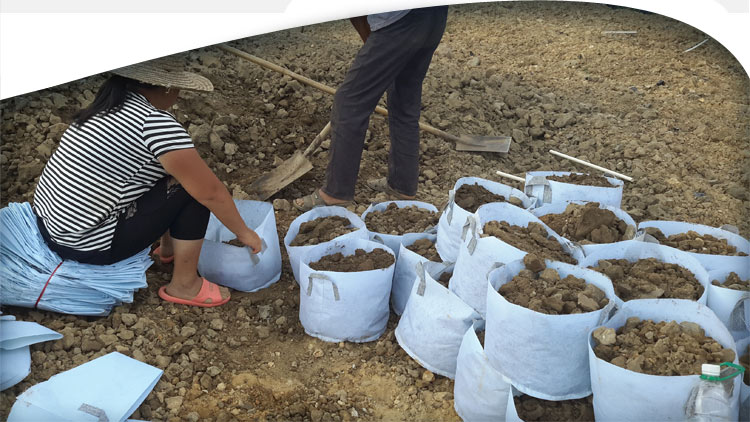 2017 Planting Bags Round Fabric Pots Plant Pouch Root Container Grow Bag Aeration Pot Container New Peat Pots Breathable Bag Plant HY1604
2017 Planting Bags Round Fabric Pots Plant Pouch Root Container Grow Bag Aeration Pot Container New Peat Pots Breathable Bag Plant HY1604
