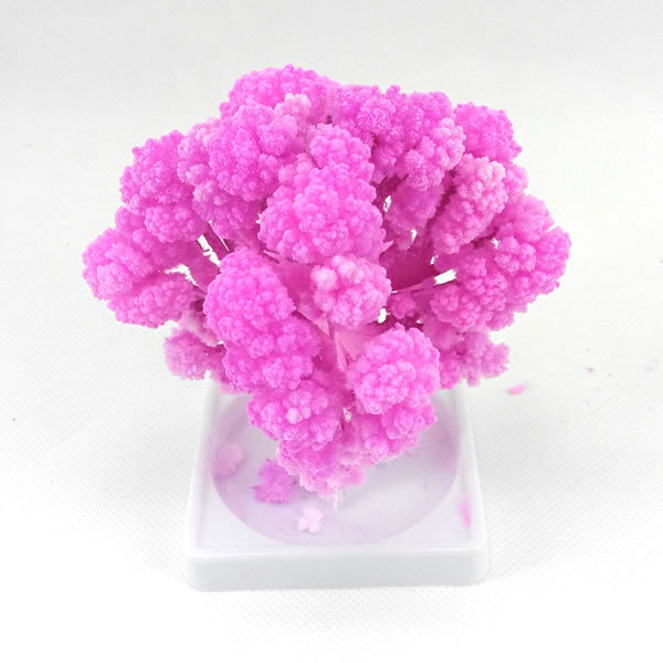 2017 10x8cm Arbre Magique Artificial Magical Grow Sakura Paper Trees Magic Growing Tree Educational Exploring Ability Developing Kids Toys
2017 10x8cm Arbre Magique Artificial Magical Grow Sakura Paper Trees Magic Growing Tree Educational Exploring Ability Developing Kids Toys