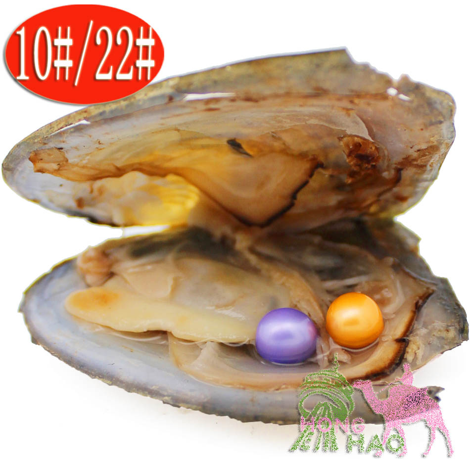Jewelry gifts surprise jewelry 6-7mm round natural freshwater aquaculture love pearl oyster 2pc vacuum bag mussel shell oyster
Jewelry gifts surprise jewelry 6-7mm round natural freshwater aquaculture love pearl oyster 2pc vacuum bag mussel shell oyster