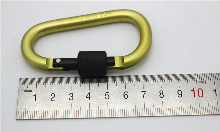 Promotion Gift Outdoor Gadgets Gear Convenient to Carry Carabiner Aquarius Buckle Hang up Bottle Mixed Color