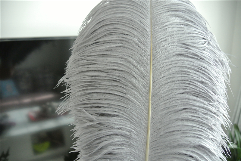 100pcs Gray Ostrich Feather Plume for Wedding centerpiece christmas feather decor wedding table party decor supply
100pcs Gray Ostrich Feather Plume for Wedding centerpiece christmas feather decor wedding table party decor supply
