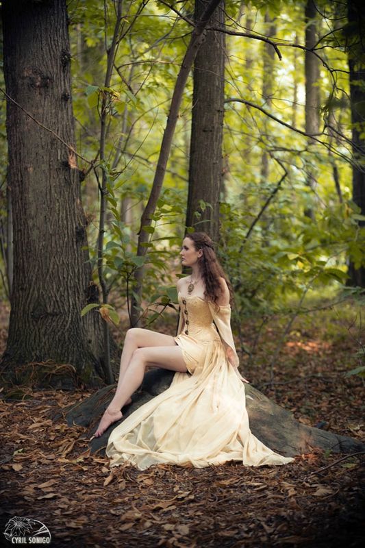 Renaissance Medieval Vintage Light Gold Champagne Sweetheart Wedding Dresses Long Sleeves Chiffon High Low Bridal Gowns EN10920