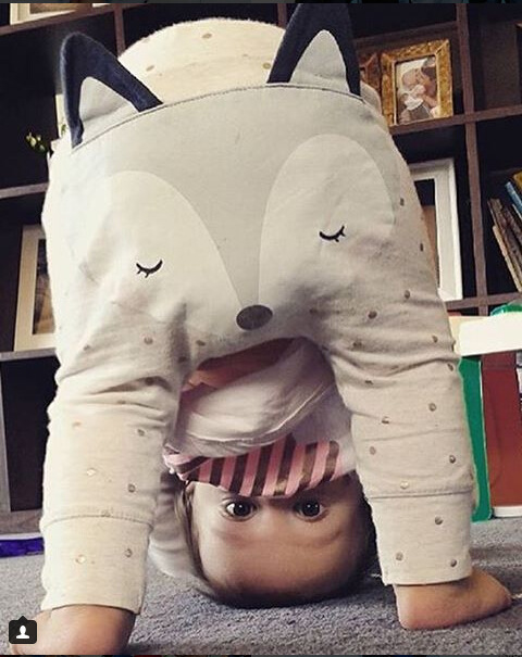2016 New INS Cartoon Baby FOX Trousers Autumn Spring Cute Animal Ploka Dots Boys Long Pants Harem pants Toddler PP Pants, Mixed colors
2016 New INS Cartoon Baby FOX Trousers Autumn Spring Cute Animal Ploka Dots Boys Long Pants Harem pants Toddler PP Pants, Mixed colors