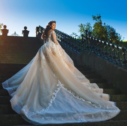 Champagne Lace Ball Gown Wedding Dresses Off Shoulder V-Neck Long Sleeves Wedding Gown Beaded Lace Applique Tulle Long Train Wedding Dress