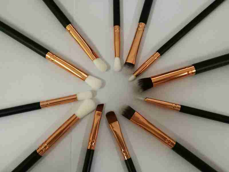 12pcs set Eyeshadow Makeup Brushes Make Up Brushes Set Professional Portable Full Cosmetic Brush Eyeshadow Lip Brush DHL free