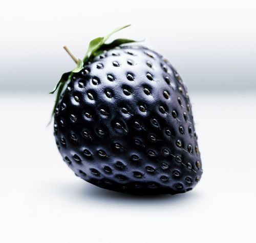 Bonsai fruit Black Strawberries Strawberry Seeds Fruits Rare garden decoration plant 20pcs A79
Bonsai fruit Black Strawberries Strawberry Seeds Fruits Rare garden decoration plant 20pcs A79