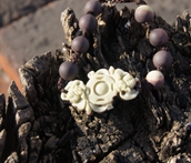 Natural purple jade, carved by hand. Double pig GongFu (lucky) bracelets