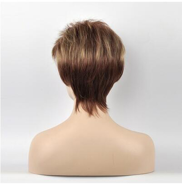 Fashion Short Straight Synthetic Hair Wig for Women's Daily Life Cosplay Brown Blond Mixed