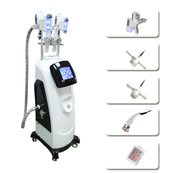 2018 Newest Fat Freezing Machine With Double Cool Sculpting Cryo Lipolysis + Lipo Laser + Cavitation+RF Weight Loss Slimming Machine For Spa
2018 Newest Fat Freezing Machine With Double Cool Sculpting Cryo Lipolysis + Lipo Laser + Cavitation+RF Weight Loss Slimming Machine For Spa