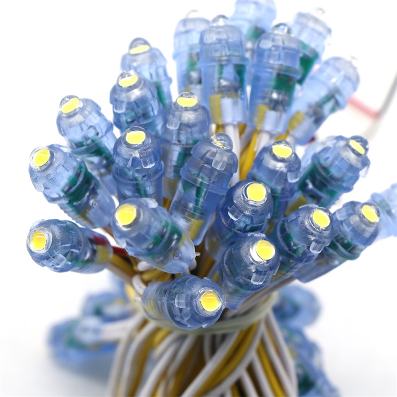 50pcs/string LED Lighting Modules F8 12mm Width Single Color IP65 Waterproof Led Pixel Light For Sign Letter