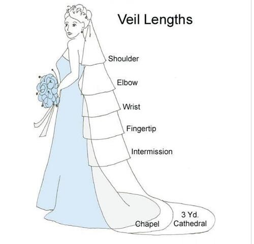 Bridal Veils Three Meters Long Veils Lace Applique Crystals Cathedral Length