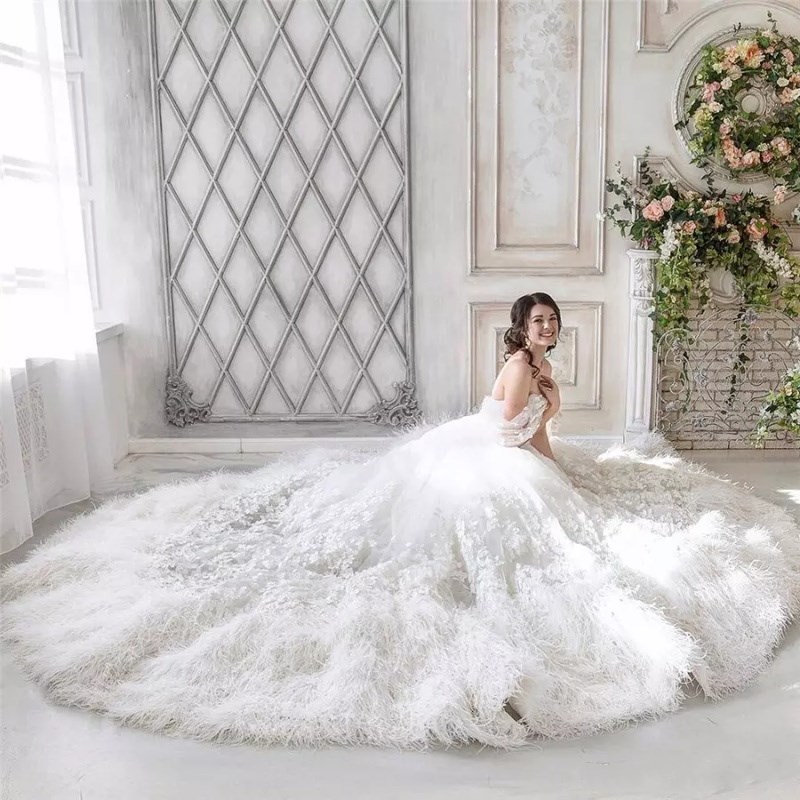 Luxury Ball Gown Wedding Dresses Off The Shoulder Pure White Ostrich Feather Applique Sleeveless Sweep Train Wedding Dresses Free Shipping