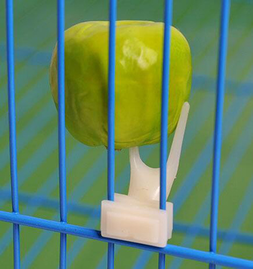 Wholesale-2 PCs/lot Hot Sale Pet Parrot Fruit Fork Birds Set On The Cage Convenient Feeder Supplies Device
Wholesale-2 PCs/lot Hot Sale Pet Parrot Fruit Fork Birds Set On The Cage Convenient Feeder Supplies Device