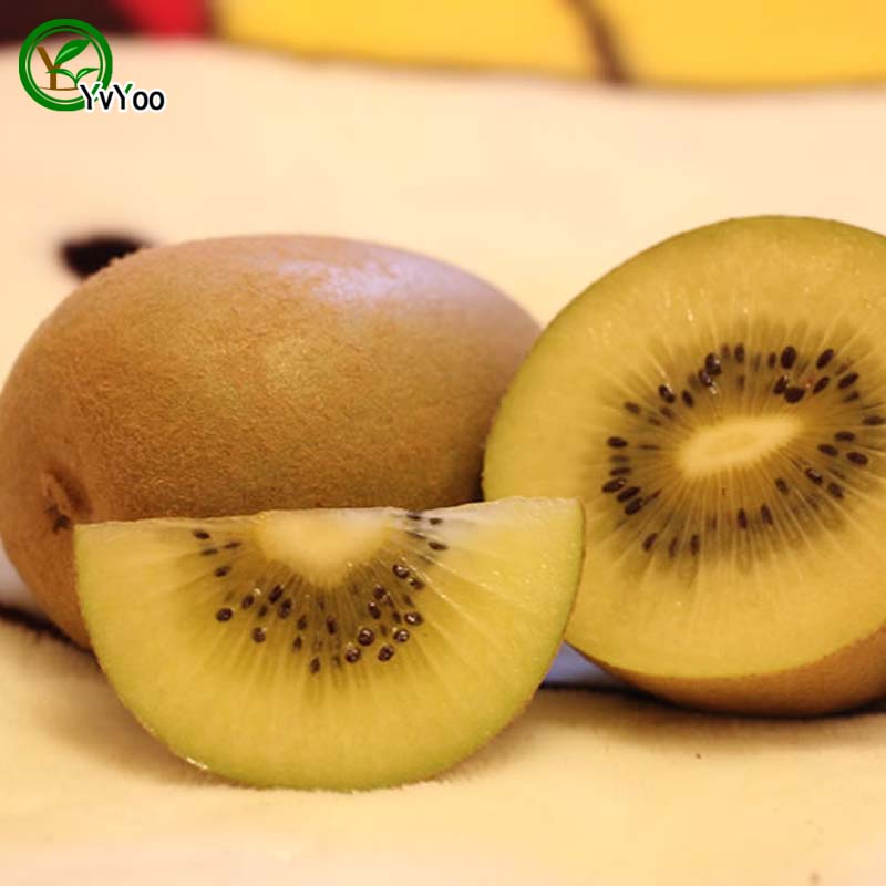 100 particles / bag Yellow Kiwi Seeds Delicious Fruit Mini Potted Fruit Tree Seeds Interesting Bonsai Plant t002
100 particles / bag Yellow Kiwi Seeds Delicious Fruit Mini Potted Fruit Tree Seeds Interesting Bonsai Plant t002