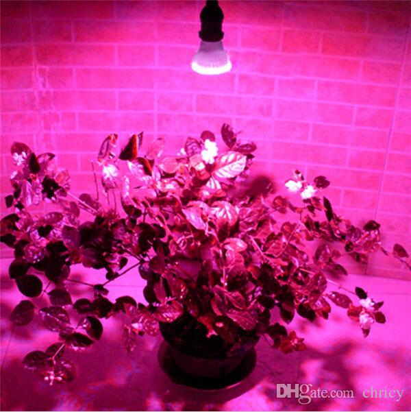 E27 Hydroponic Plant LED grow light Bulb 110V-220V 38led 60led 80led RED and BLUE Garden Greenhouse Aquarium Light