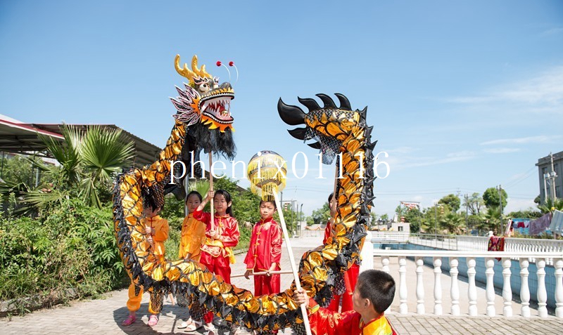 dragon dance black golden size 6# 5.5m kid folk performing mascot costume shop decor Arts sports outdoor festival holiday, Red;yellow
dragon dance black golden size 6# 5.5m kid folk performing mascot costume shop decor Arts sports outdoor festival holiday, Red;yellow