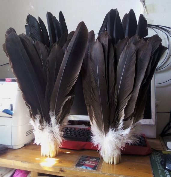 30pcs high quality high quality natural eagle feathers pheasant feathers 12-20 inches / 30-50cm long DIY jewelry decoration
30pcs high quality high quality natural eagle feathers pheasant feathers 12-20 inches / 30-50cm long DIY jewelry decoration