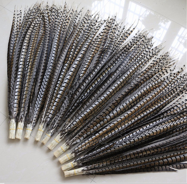 20pcs high quality original natural lady Amher pheasant feathers 4 - 44 inch / 10 - 110 cm decorated pheasant feathers DIY
20pcs high quality original natural lady Amher pheasant feathers 4 - 44 inch / 10 - 110 cm decorated pheasant feathers DIY