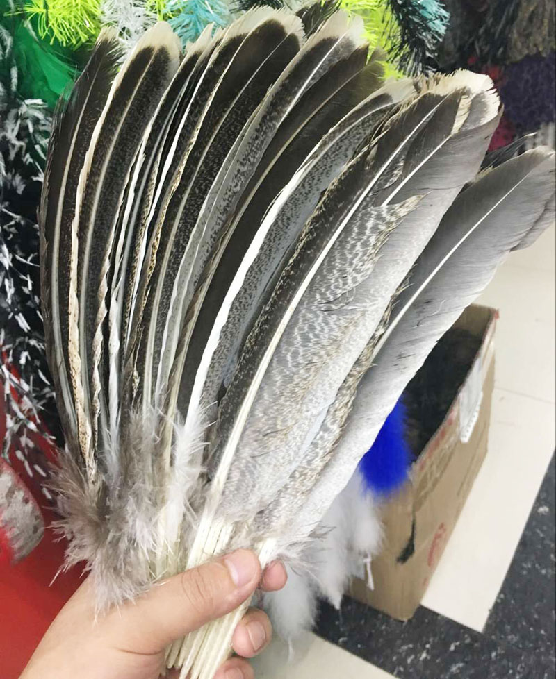 wholesale beautiful precious wild turkey tail feathers 8-12inches / 20-30cm (Many Sizes for You To Choose)