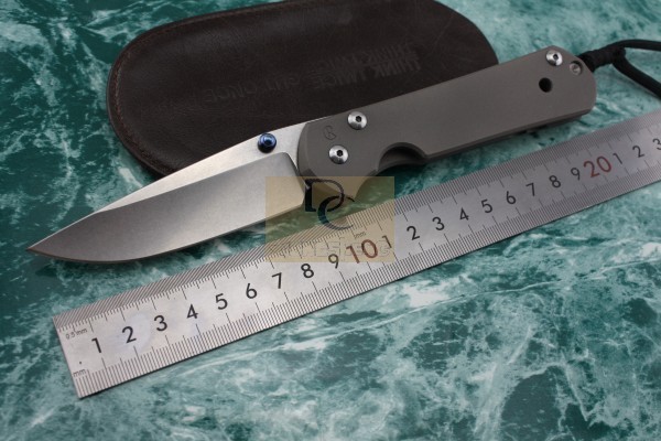 Wild boar Chris Reeve Large Sebenza 21 style folding knife D2 blade with Satin Polished TC4 titanium alloy handle original box от DHgate WW