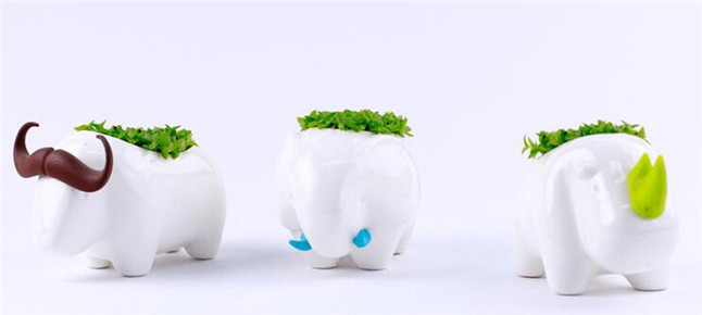 Wholesale-Animal Desktop Planting Rhinoceros / / Elephant Home Planter Decoration Lovely Storage Office Potting Bonsai Table Decor
Wholesale-Animal Desktop Planting Rhinoceros / / Elephant Home Planter Decoration Lovely Storage Office Potting Bonsai Table Decor