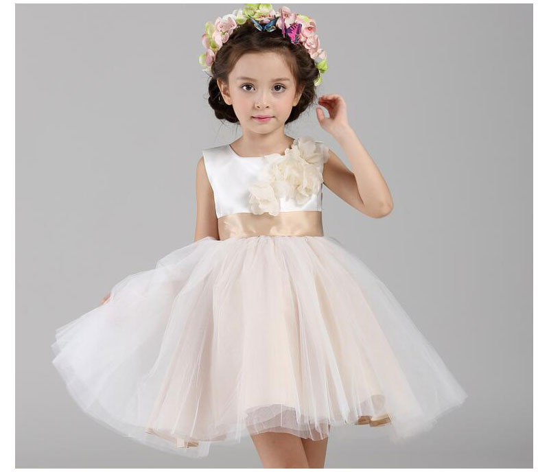 New Wedding flower girl dresses, fashion princess dress brand of high purity cotton children's clothing girls dress EMS/DHL Free, Same as image
New Wedding flower girl dresses, fashion princess dress brand of high purity cotton children's clothing girls dress EMS/DHL Free, Same as image
