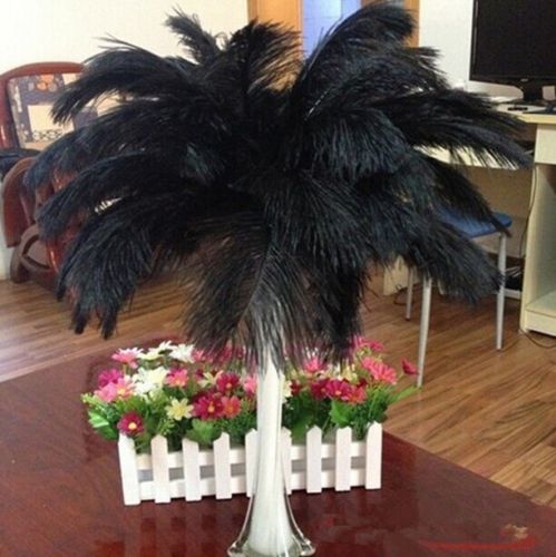 White&Black Ostrich Feather 100pcs lot ostrich plume wedding center pieces264L
White&Black Ostrich Feather 100pcs lot ostrich plume wedding center pieces264L