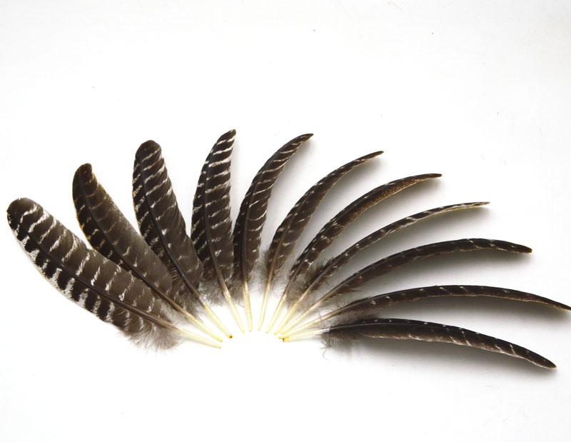 wholesale beautiful precious wild turkey tail feathers 8-12inches / 20-30cm (Many Sizes for You To Choose)