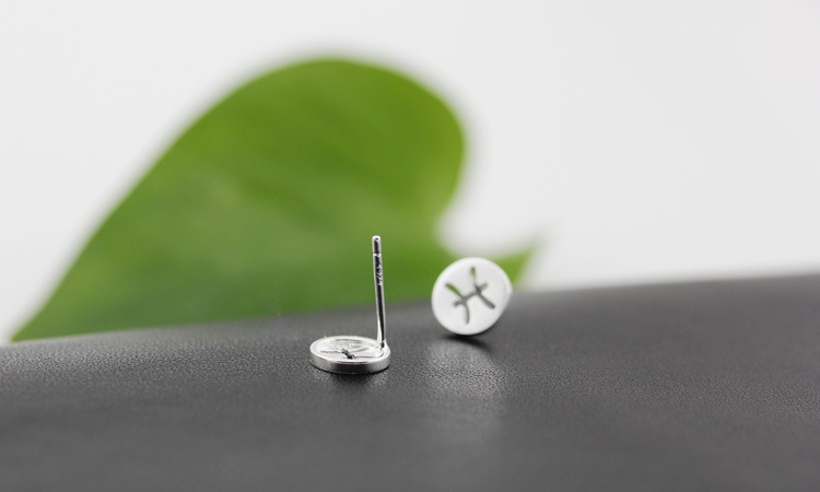 10Pair- S026 Zodiacal Pisces Earrings Signs Zodiac Constellation Earrings Horoscope Astrology Disc Coin Stud Earrings for Birthday Gifts