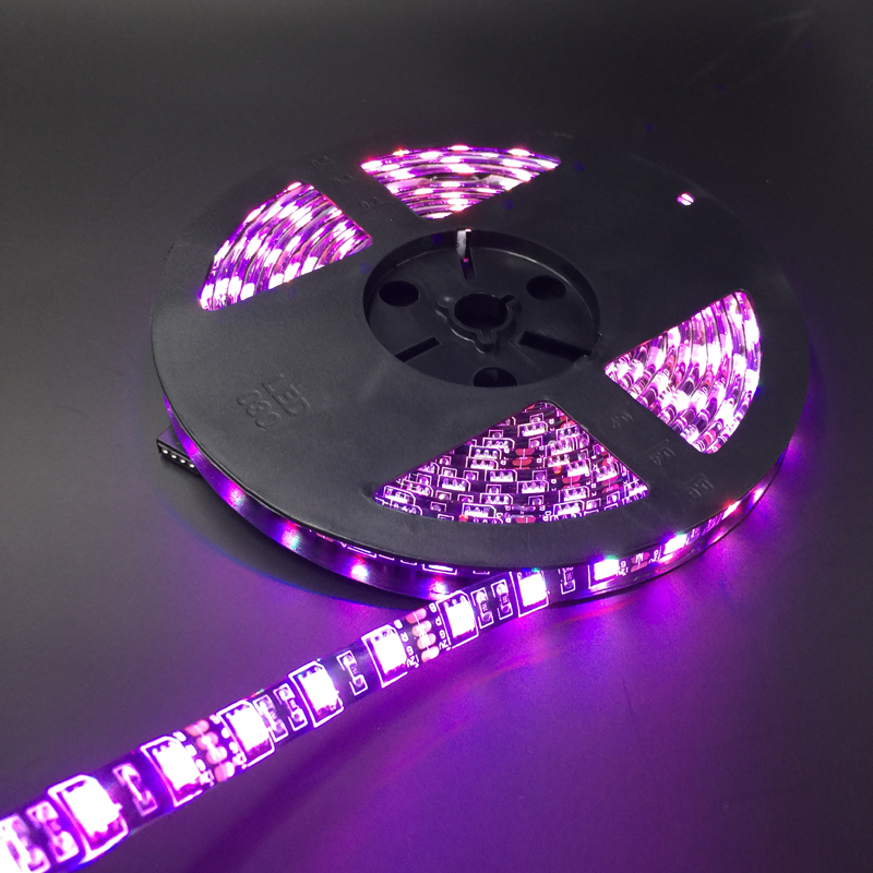 5050 Black PCB LED Strip IP65 Waterproof DC12V 60LEDM 5Mlot White Warm White Red Green Blue RGB