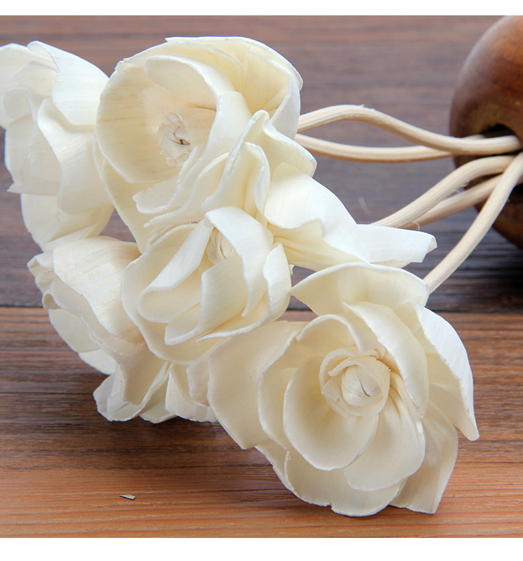 dried flower aromatherapy sola flower Aromatherapy cane natural plant Plants dried flowers pure natural materials plants, White
dried flower aromatherapy sola flower Aromatherapy cane natural plant Plants dried flowers pure natural materials plants, White