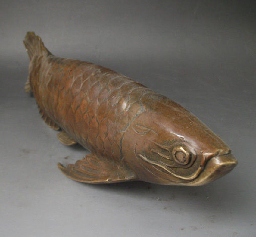 Collection Lifelike Chinese old bronze arowana statue 28x8 CM7819168