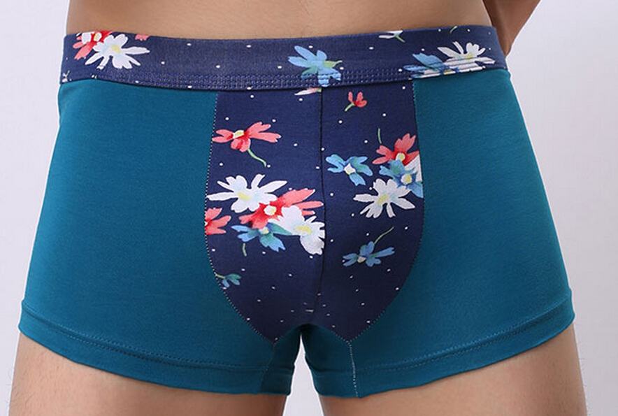 NEW 4 pcs/lot Cotton Men Underwear Boxers Men Cueca Boxers Solid Male Underwear U Convex Men Underpants Shorts, Gray
NEW 4 pcs/lot Cotton Men Underwear Boxers Men Cueca Boxers Solid Male Underwear U Convex Men Underpants Shorts, Gray
