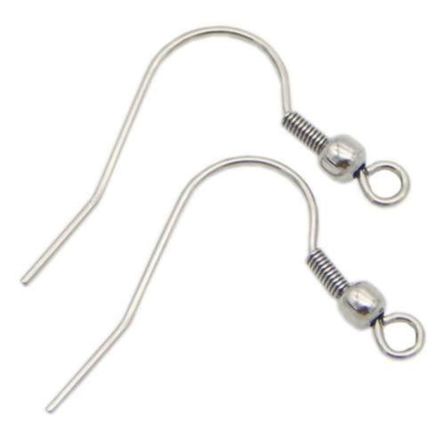 Hypo Allergenic Stainless Steel Earring Hook Stainless Steel Silver Earwires Fish Hooks Earrings Findings DIY Jewelry Makings 200pcs
Hypo Allergenic Stainless Steel Earring Hook Stainless Steel Silver Earwires Fish Hooks Earrings Findings DIY Jewelry Makings 200pcs