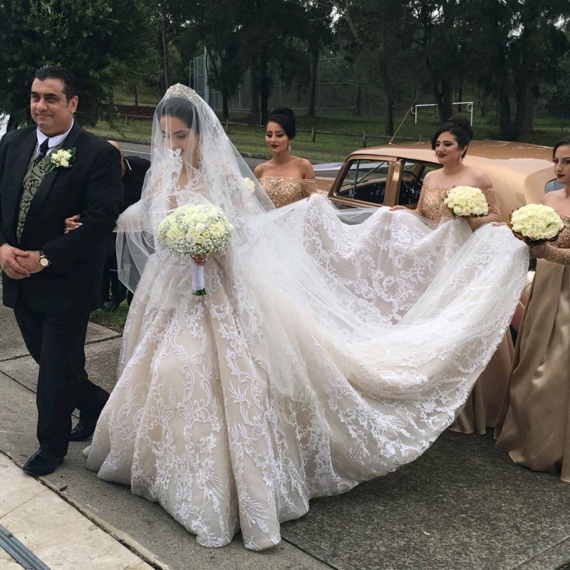 Long Sleeves Deep V Neck Lace Ball Gown Dresses With Free Veils Applique Beads Beach Wedding Dress Sweep Train Cheap Bridal Gowns
