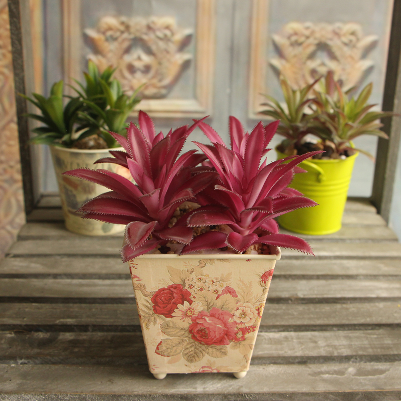 Colorful Plants Succulent Grass Artificial Plant Landscape Fake Flower Arrangement Home Decor Festive Party Supplies Wholesale