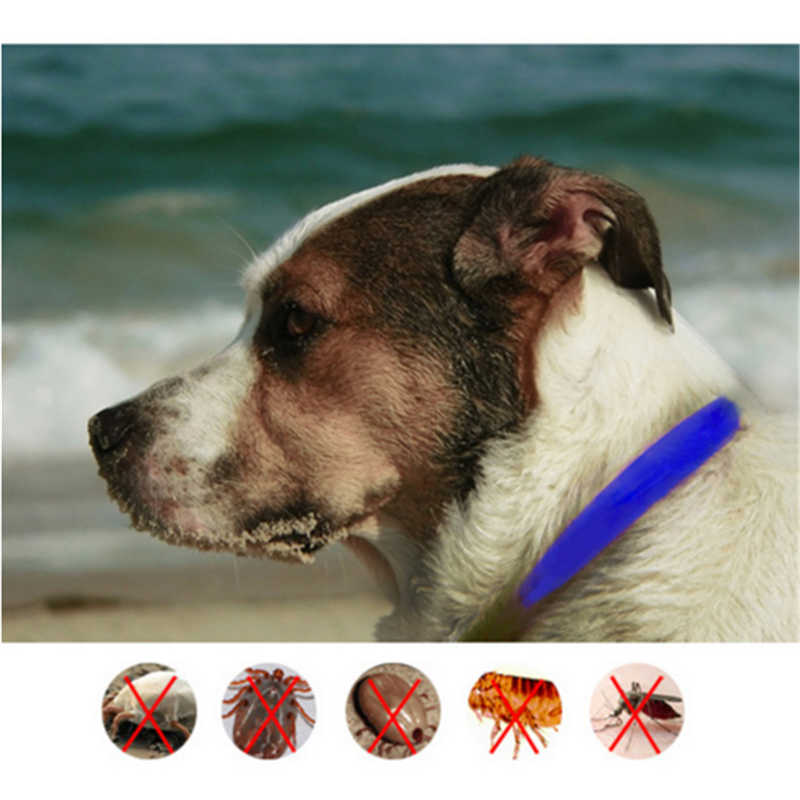 1PCS S/L 4-Month Effective Anti Fleas & Ticks& Mosquitoes Collar Elimination Nylon Neck Strap for Dogs Pets Puppies