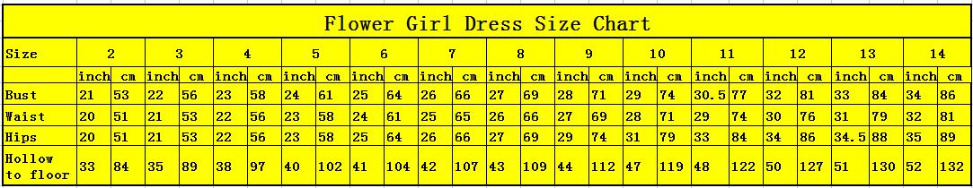 Stunning Champagne Flower Girls Dresses Ball Gown Soft Tulle with Gold Applique Girl's Party Dresses Zipper Back Ball Gown
