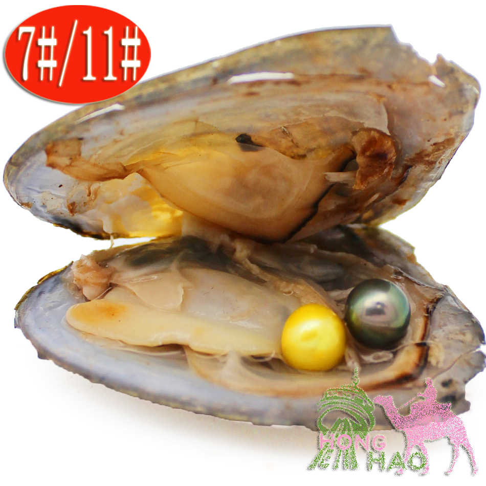 Hope pearl oyster vacuum packaging 6-7mm round love natural pearl suit - harvest your own pearl - great gift!
Hope pearl oyster vacuum packaging 6-7mm round love natural pearl suit - harvest your own pearl - great gift!