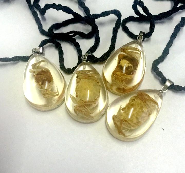 FREE SHIPPING yqtdmy 15 pcs Vintage Jewelry Insects Stylish Unique Design Pendant TAXIDERMY GIFT, Silver
FREE SHIPPING yqtdmy 15 pcs Vintage Jewelry Insects Stylish Unique Design Pendant TAXIDERMY GIFT, Silver