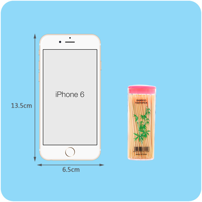 Wholesale- 90 pcs/pack Creative Portable Pocket Toothpick Household Disposable Toothpicks