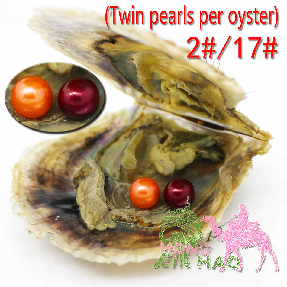 Best love wish gift round akoya pearl in oyster 6-7 mm with vacuum wrapped female exquisite pearl jewelry
Best love wish gift round akoya pearl in oyster 6-7 mm with vacuum wrapped female exquisite pearl jewelry