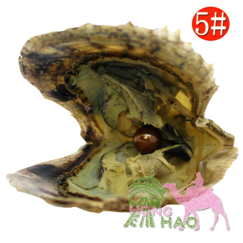 Wholesale AAAA7-8mm5# color in akoya salt pearl oyster pearl colorful 28 colors to choose from (free shipping 2-5 days)
Wholesale AAAA7-8mm5# color in akoya salt pearl oyster pearl colorful 28 colors to choose from (free shipping 2-5 days)