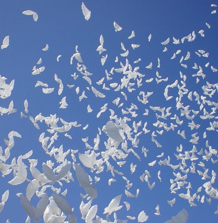 Wedding White Dove Helium Balloons Christening Party Funeral Memorial Ceremony Birthday Event entrance Decor Biodegradable favor